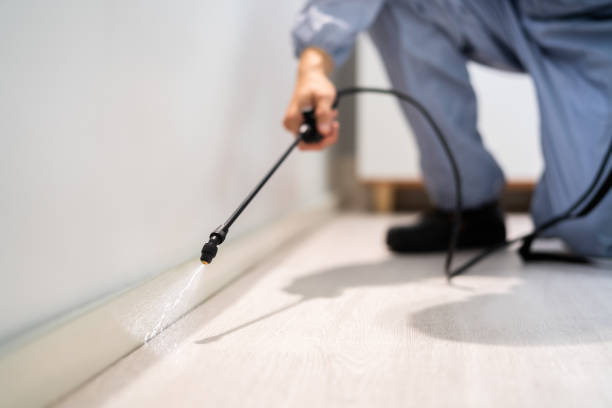 Licensed Cockroach Control service in Highland Park, MI - Nex Pest Control