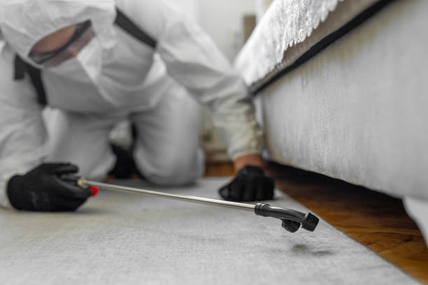 Professional Cockroach Control technician working in Highland Park, MI