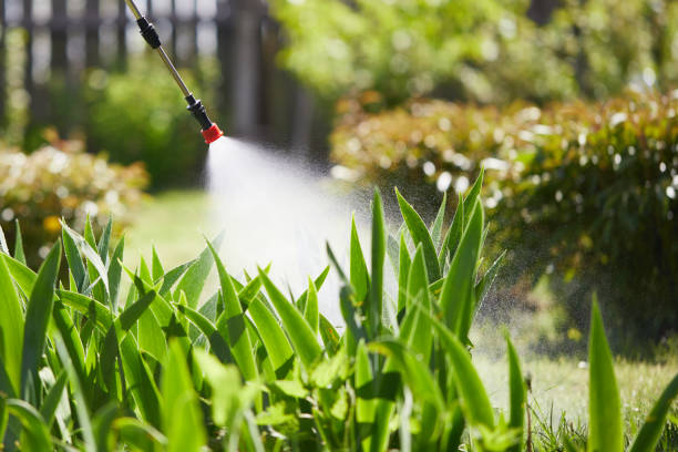 24/7 Emergency Cockroach Control experts in Highland Park, MI