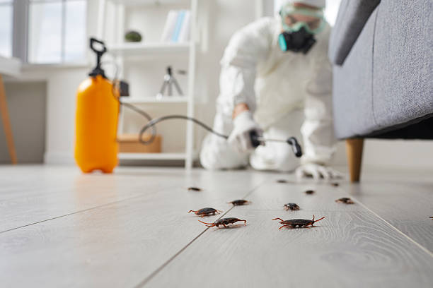 Trusted Emergency Pest Control service in Highland Park, MI - Nex Pest Control
